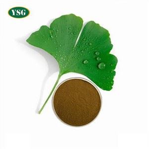 Ginkgo Biloba Ekstresi Tozu
